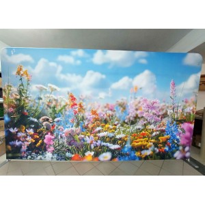 Ścianka reklamowa Prosta 500x230cm