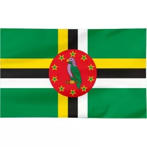Flaga reklamowa 100x60cm