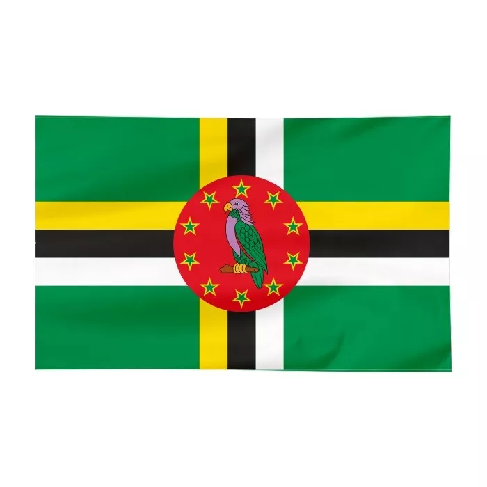 Flaga reklamowa 100x60cm