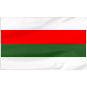 Flaga Piły 100x60cm - barwy