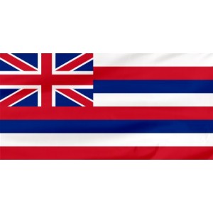 Flaga Stanu Hawaje 100x60cm