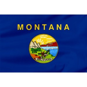 Flaga Stanu Montana 150x90cm