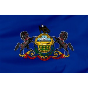 Flaga Stanu Pensylwania 100x60cm