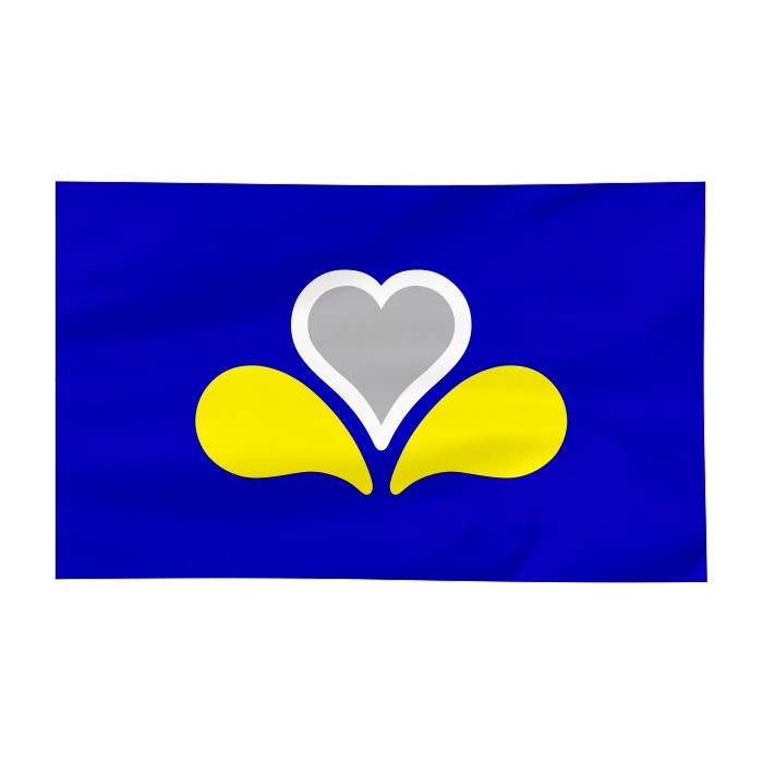 Flaga Brukseli 120x75cm