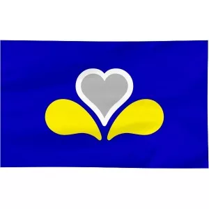 Flaga Brukseli 300x150cm