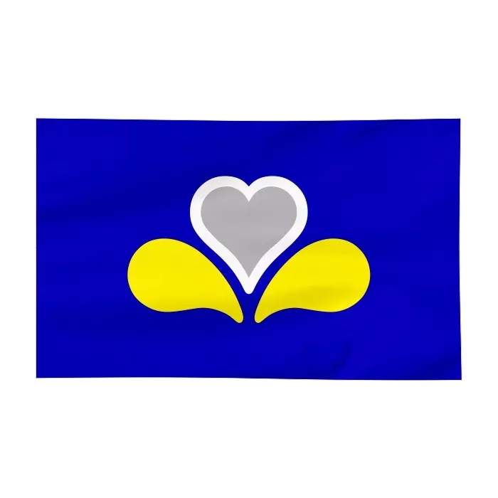 Flaga Brukseli 300x150cm