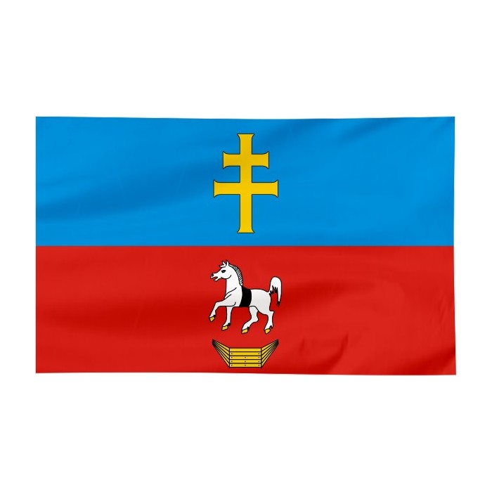 Flaga powiatu Włoszczowskiego 300x150cm