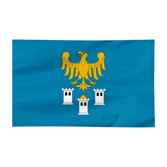 Flaga powiatu Gliwickiego 300x150cm