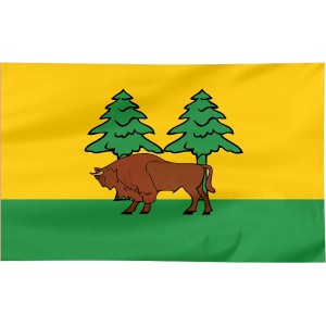 Flaga powiatu Hajnowskiego 100x60cm