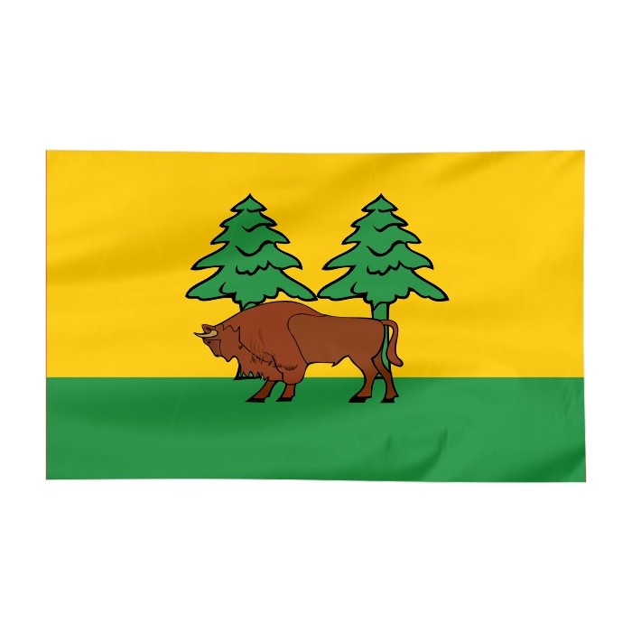 Flaga powiatu Hajnowskiego 120x75cm