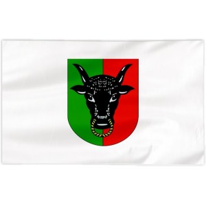 Flaga powiatu Leszczyńskiego 300x150cm