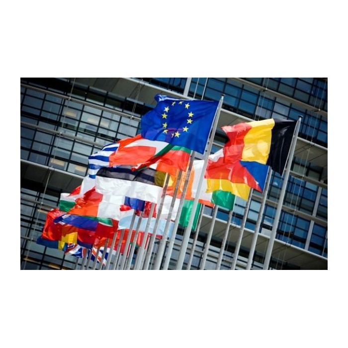 AUTOFLAGA  Polski 30x20cm  Flaga samochodowa Polski - barwy